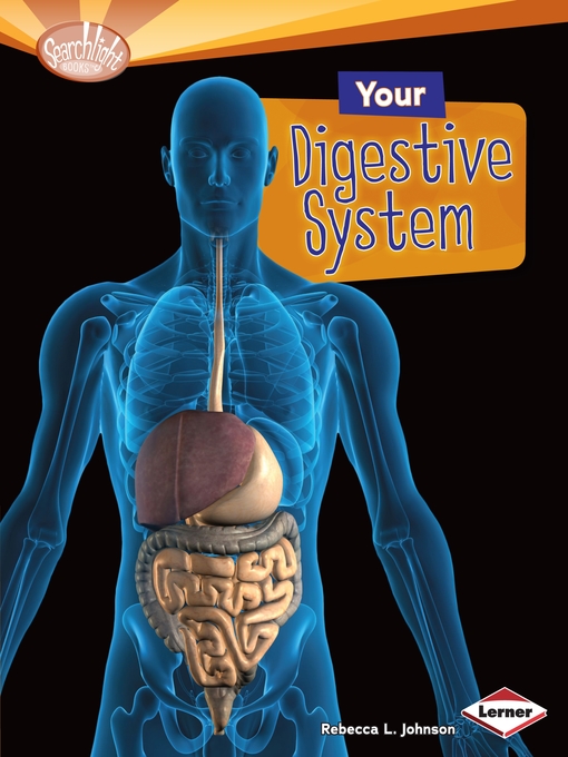 Title details for Your Digestive System by Rebecca L. Johnson - Available